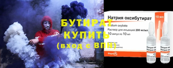 дживик Ельня