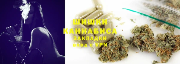 молекула духа Дмитровск