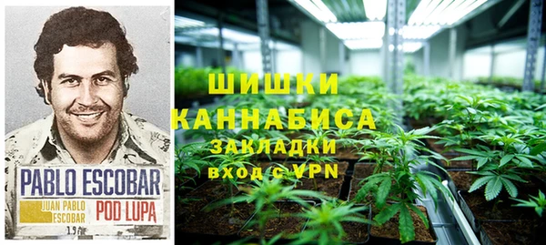 дживик Ельня