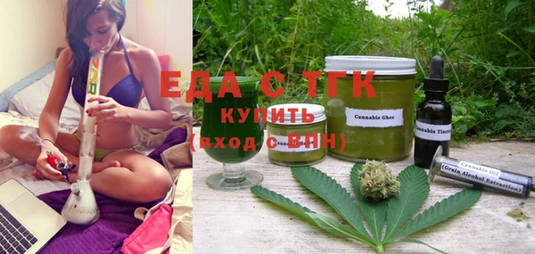 дживик Ельня
