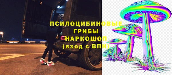 молекула духа Дмитровск