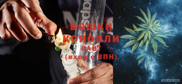 дживик Ельня