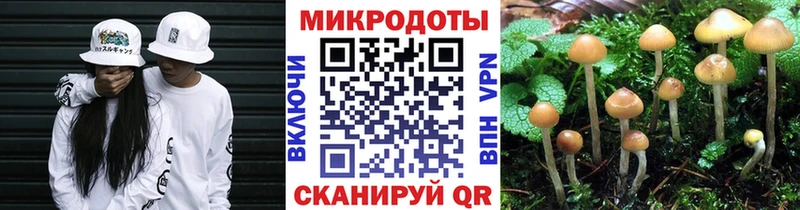 Купить закладки  Невьянск  Псилоцибиновые грибы мухоморы 