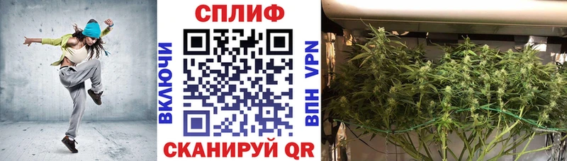 Купить где  Невьянск  Бошки марихуана OG Kush 